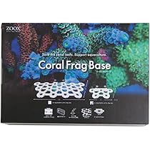 Amazon | ZOOX コーラルフラグベース サークルタイプ 小