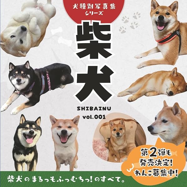 シバイヌ主義 | 井原亮, 布川航太 |本 | 通販 | Amazon