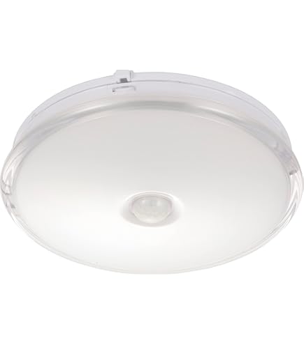 LEDシーリングライト LEDシーリングライト GB80159 タキズミ 照明器具
