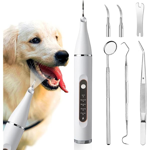 Amazon.co.jp: 犬用歯ブラシ PETPNR ペットの電動歯ブラシ USB