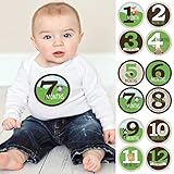 Woodland Creatures - Baby Boy Monthly Sticker Set - Baby Shower Gift Ideas - 12 Piece [並行輸入品]