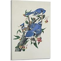 John James Audubon アメリカ鳥類博物画の本 fit=scale-down,w=1200