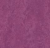 Forbo Marmoleum Modular – t3245 Summer Pudding ( Sold in段ボール – 53.82 sq. Ft。/ Ctn） – サイズ20 " x 20 " 