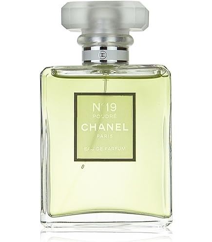 Amazon | シャネル 香水 NO.19 EDT SP 100ml 【並行輸入品