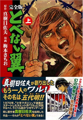 『とべない翼〔完全版〕』