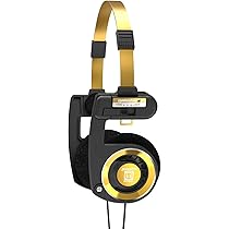 61DVkSLgfoL._AC_UL210_SR210,