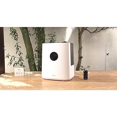 Amazon.co.jp 最新リリース: 加湿器 の新着ランキングです。