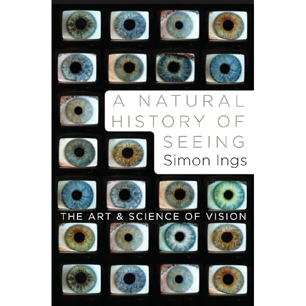 Vision Science: Photons to Phenomenology : Palmer, Stephen E
