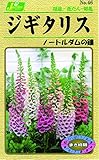 カネコ種苗 草花タネ046 ジキタリス 10袋セット