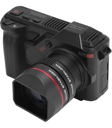 希少カメラ　極美品　SIGMA DP2s 付属品未使用 SIGMA DP2sレビュー！(MerrillでもQuattroでもないよ)