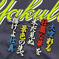 Amazon.co.jp: 東京 ヤクルト スワローズ 刺繍ワッペン 内山 壮