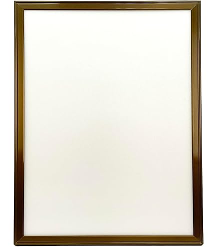 Amazon.co.jp: Konica アルミ額縁 GAROH 画廊 白 全紙 : ホーム＆キッチン