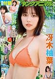 ヤングアニマル 2023年 8/11 号 [雑誌]