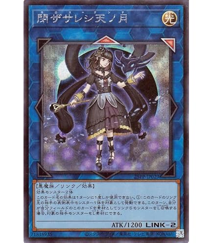 61DegbmVKpL._AC_UL495_SR435,