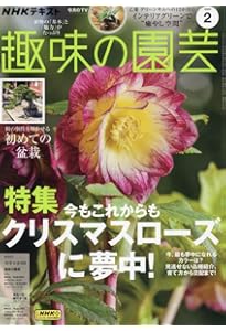 クリスマスローズ (NHK趣味の園芸12か月栽培ナビ(2)) | 野々口 稔 |本