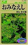カネコ種苗 草花タネ132 おみなえし 10袋セット
