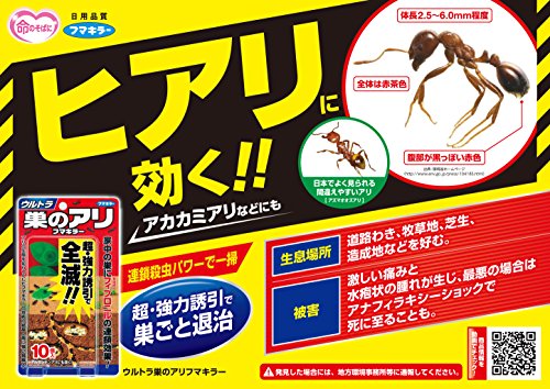 家の中にアリ しかも キッチンに突然現れたアリの群れ 気まぐれ主婦の日常 シンプルが好き