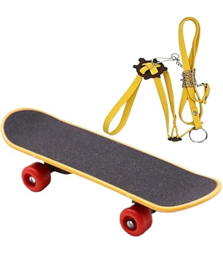 足漕ぎボート(亀) スワンボート - nagy's diary