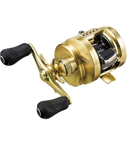 SHIMANO 20 Calcutta Conquest DC 200HG Right : Amazon.sg: Sporting