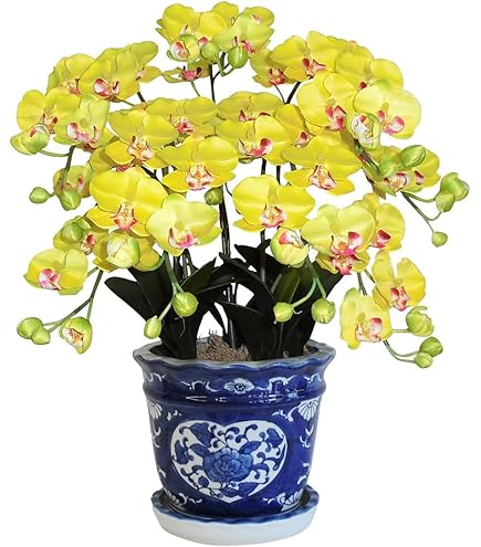 Amazon｜光触媒 人工観葉植物 光の楽園 エレガント胡蝶蘭7本立LAV