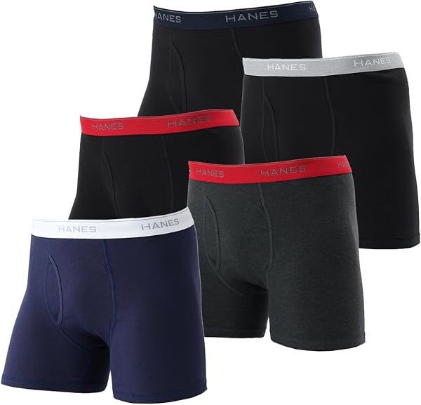 Hanes ボクサーパンツ(5枚組): 抗菌防臭・清潔機能 — お得な5枚組は買いか？