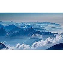 springbok 1000ピースジグソーパズル 湖と山の風景 Amazon | 大人向け風景パズル 1000ピース フラワーマウンテン