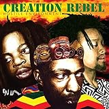 Hostile Environment [エイドリアン・シャーウッドによる解説書「The Creation Rebel Story」封入 / CDボーナストラック追加収録 / 国内仕様輸入盤CD] (BRONU160)