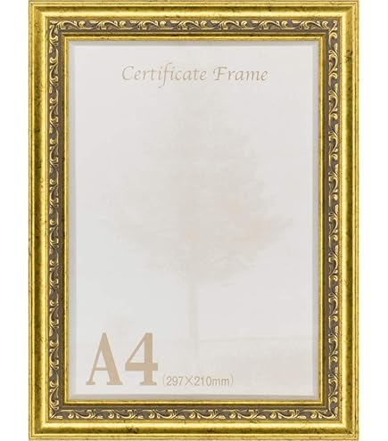 Amazon.co.jp: A4用紙フレーム 9011N UVカットアクリル仕様 壁用フック