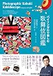 バイリンガルで楽しむ　歌舞伎図鑑～Photographic Kabuki Kaleidoscope in Japanese and English～