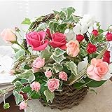 花由 誕生花の生花アレンジ4000円 12月アレンジ カントリーローズ フラワーアレンジメント 誕生日 プレゼント 花 フラワー