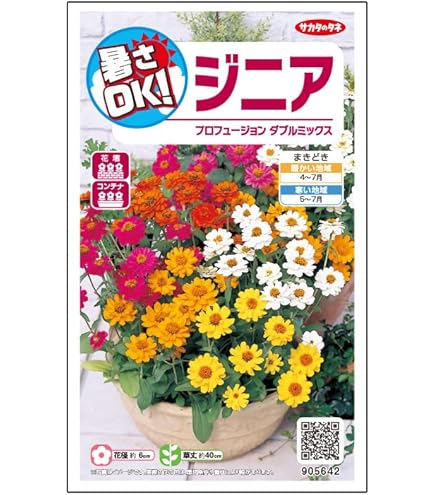 Amazon.co.jp: オシロイバナ ミックス色 苗4株塊根 おしろい花 白粉花