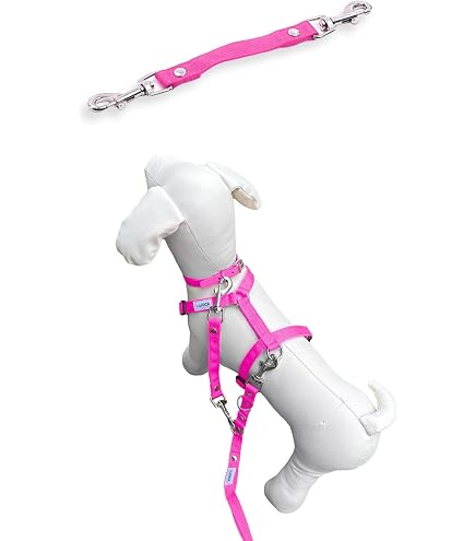 【在庫処分】3way ハンズフリーリード 本革 小型犬 中型犬 大型犬 ショルダ Amazon | 【Casa Pawe】3way ハンズフリーリード 本革 小型犬 中型犬