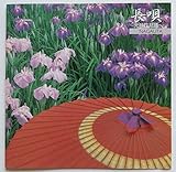 �q�M�y�����2000�V���[�Y�r���S�`���\�Ԍ��x