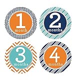 Monthly Baby Stickers Boy Chevron Polka Dots 1-12 Months Milestone Baby Shower Gift Bonus Sheet Incl