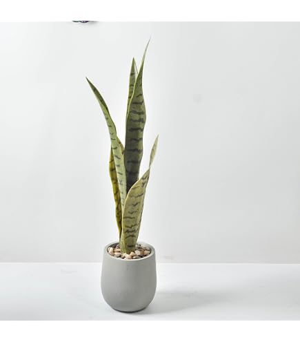 【特価商品】Nearly Natural 人工観葉植物 サンセベリア ブラックプ Amazon｜Nearly Natural 人工観葉植物 サンセベリア ブラック