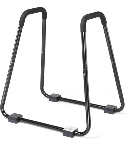 Calisthenics Equipment Synergee Dip Adjustable Dip Station