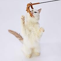 61DvZgSudoL._AC_UL210_SR210,