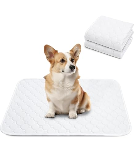 Amazon.co.jp: STVICTORY ペットシーツ 洗える 犬 猫 ペット用