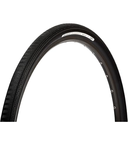 Amazon | パナレーサー(Panaracer) グラベルキングSSプラス 700×38C