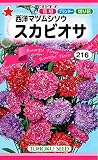 トーホク スカビオサ(西洋マツムシソウ) 花 0.4ml