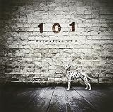 101