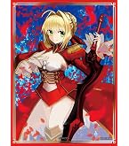 Amazon.co.jp: キャラクタースリーブ FATE FGO アナスタシア カドック