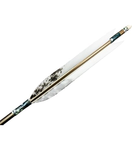 Amazon | 山武弓具店 矢 弓道 黒手羽 2015シャフト 6本組 6種類 対応弓 Amazon | 山武弓具店 矢 弓道 黒手羽 2015シャフト 6本組 6種類 対応弓