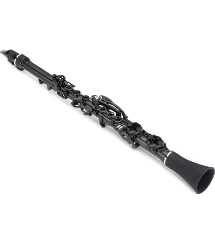 【音楽を趣味に‼️】プラスチック製クラリネット本体 ケース付き Amazon | Selmer 5015 ソプラノクラリネットケース | クラリネット