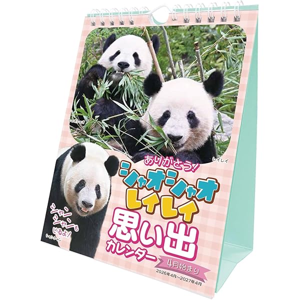 パンダ自身 7頭め 毎日パンダ自身（光文社女性ブックスVOL.203