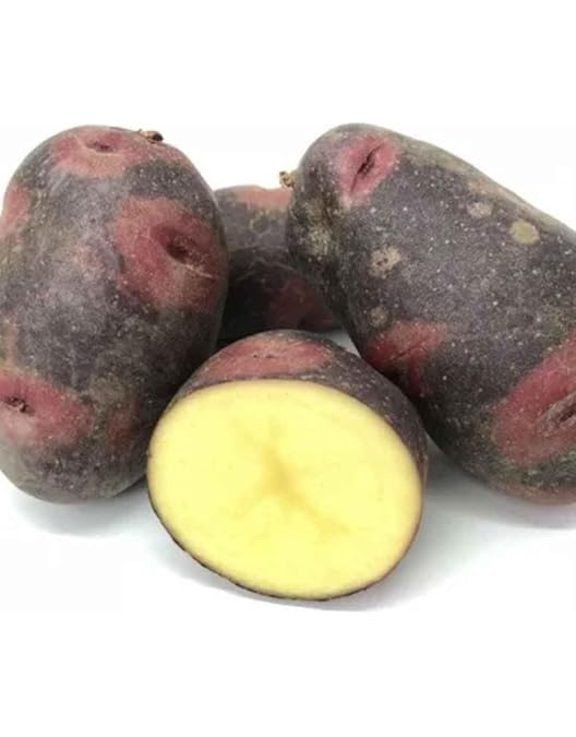 Amazon.co.jp: 北海道剣淵産 デストロイヤー（M～L混）5Kg 北海道産