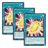 【 3枚セット 】遊戯王 日本語版 DP19-JP009 Cocoon of Ultra Evolution 超進化の繭 (レア)
