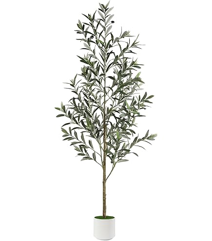 Amazon｜光触媒 人工観葉植物 光の楽園 フレッシュマネーツリー 90