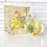 【ハーバリウム キット 花材】ピンセット付 (2セット以上ご購入の方) グリーン＆イエロー 制作 ギフト★黄色 丸瓶