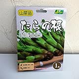 野菜球根パック：たらの芽の根1株入り2袋セット[タラノメ・タラノキ]